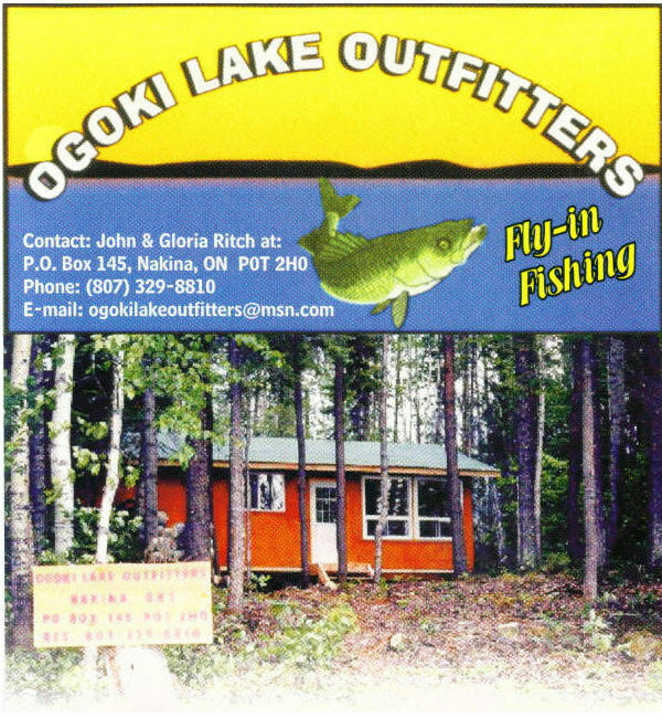 LOGO & CABIN